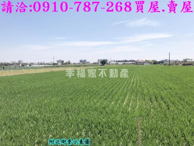 官田農地-5