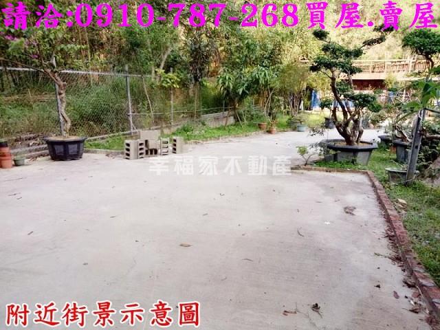 台南林地-12