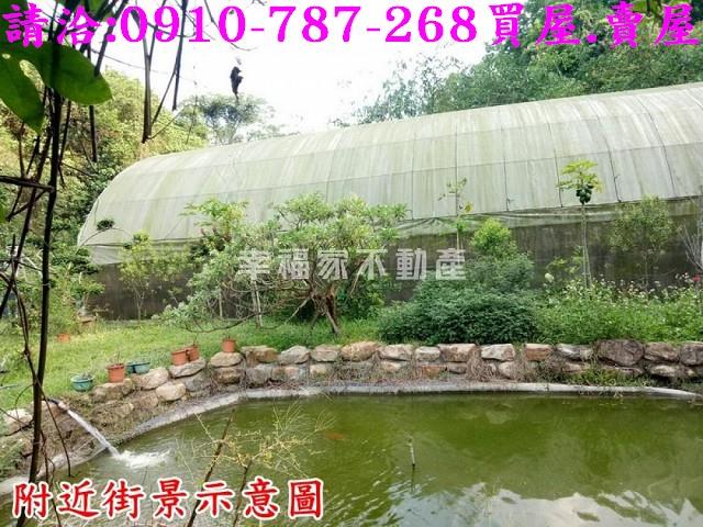 台南林地-13