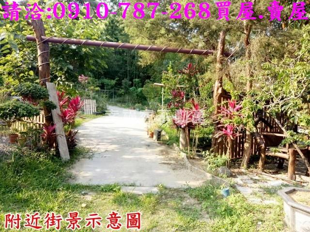台南林地-14