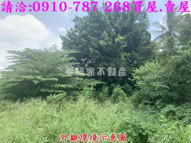 仁德農地-3