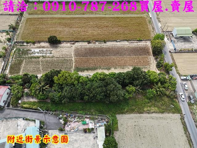 台南農地-5