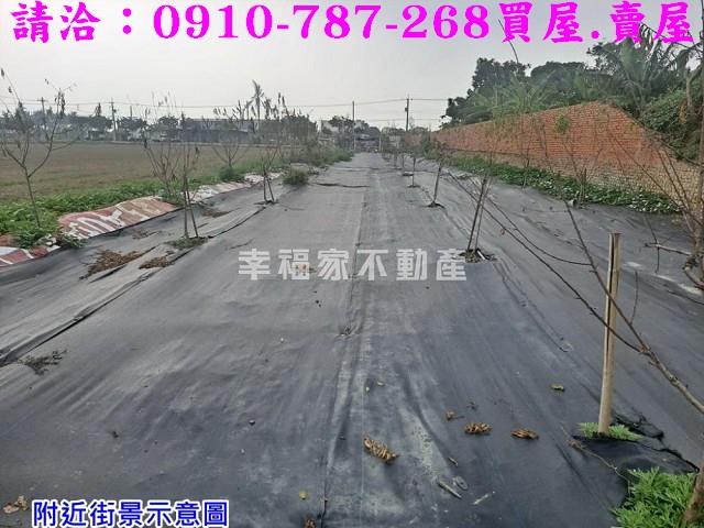 台南農地-1
