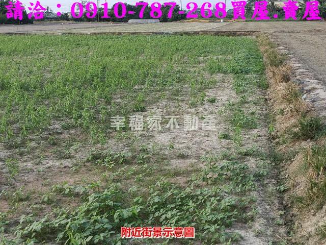 六甲農地-3