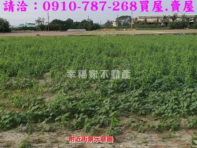 六甲農地-4