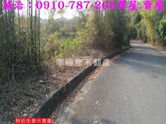 台南龍崎林地-13