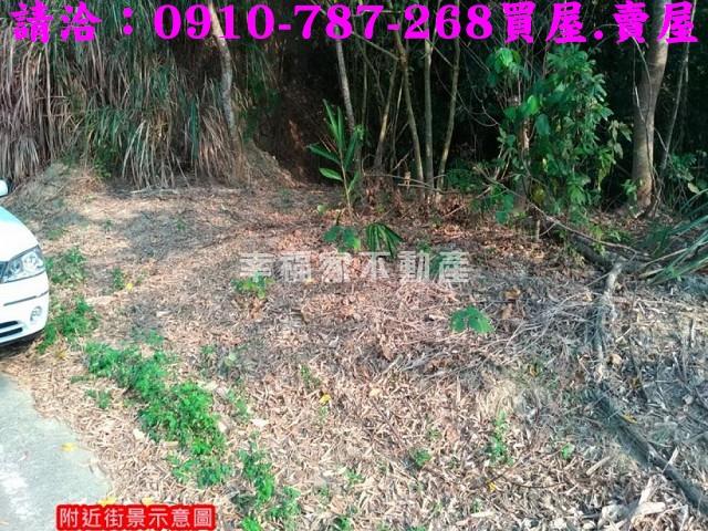 台南龍崎林地-14