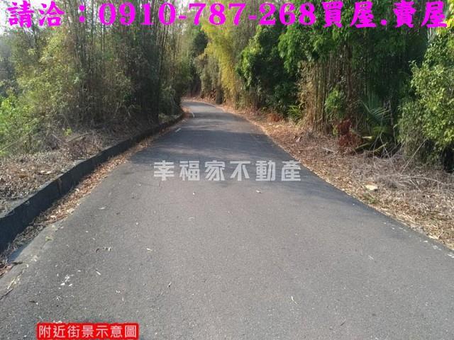 台南龍崎林地-1