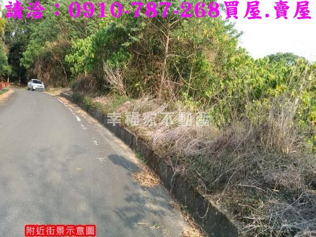 台南龍崎林地-3