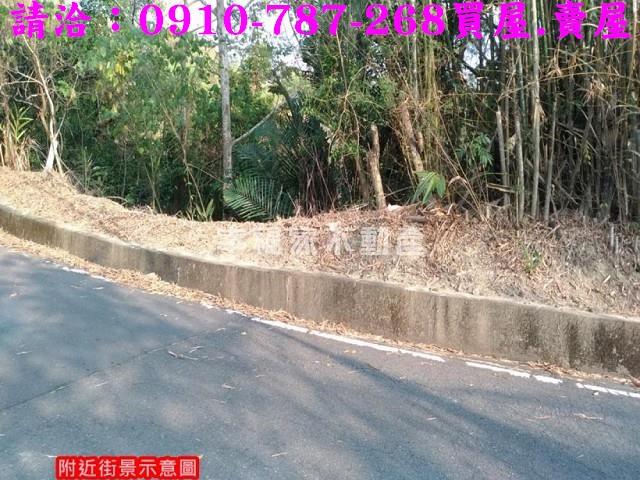 台南龍崎林地-4