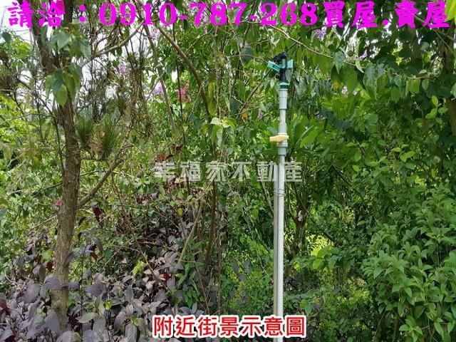 台南關廟農地-9