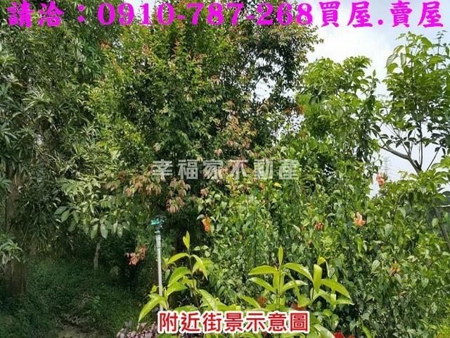 台南關廟農地-10