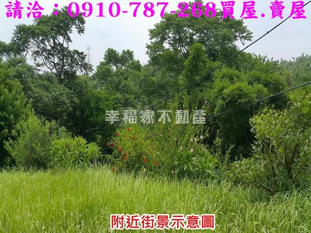 台南關廟農地-11