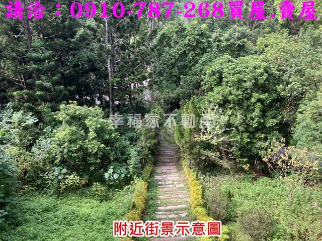 台南關廟農地-12