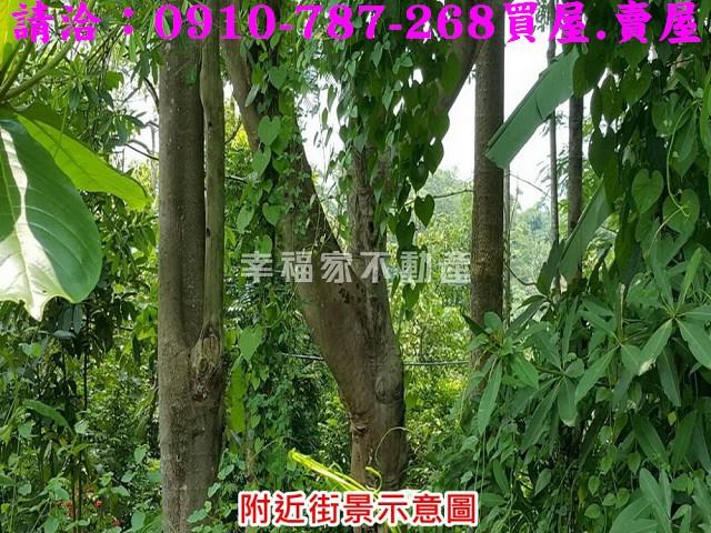 台南關廟農地-13