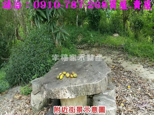 台南關廟農地-14