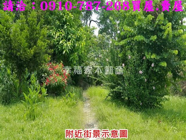 台南關廟農地-4