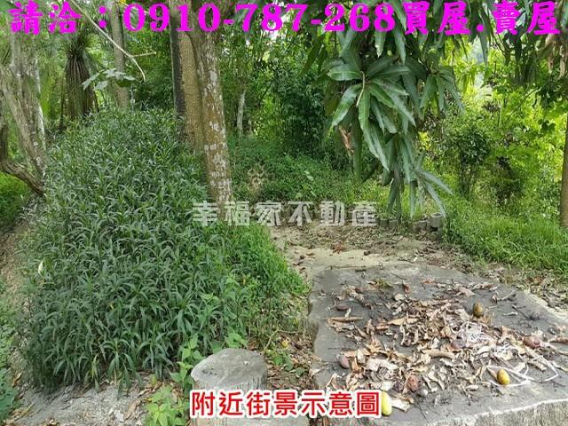 台南關廟農地-6
