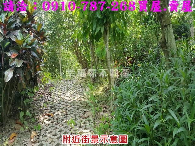 台南關廟農地-7