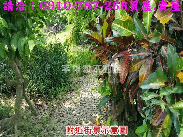 台南關廟農地-8