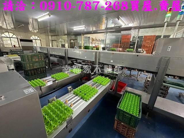 台南鹽水農地-6