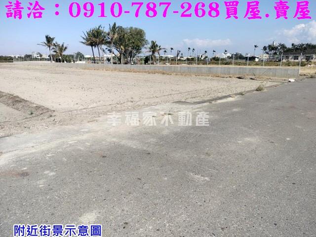 台南柳營農地-10