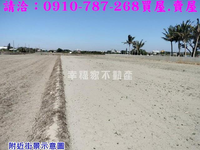 台南柳營農地-4