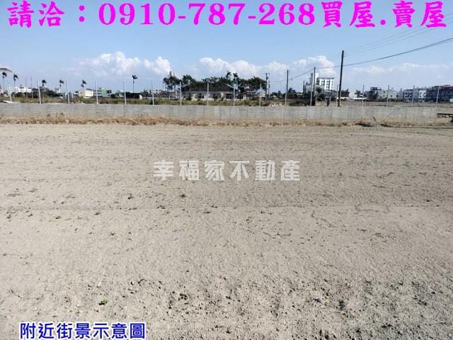 台南柳營農地-5