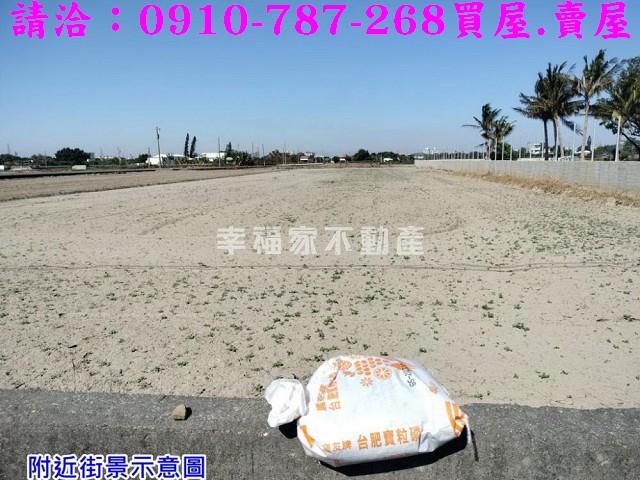 台南柳營農地-8