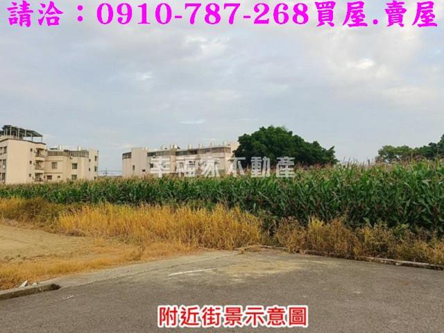 台南農地-9