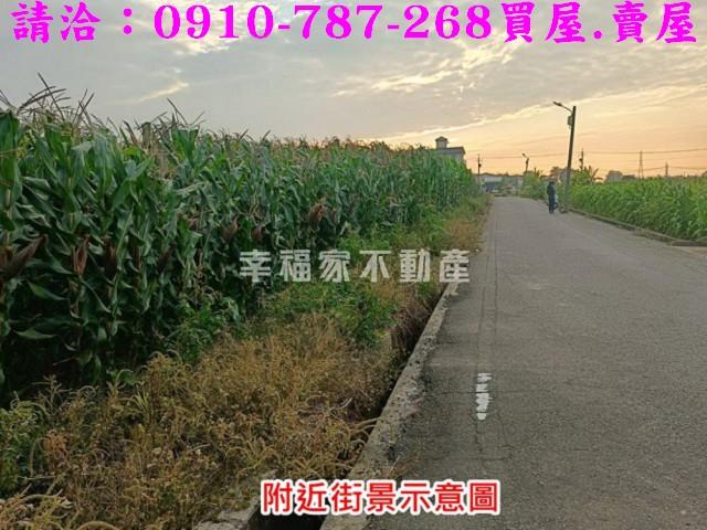 台南農地-10
