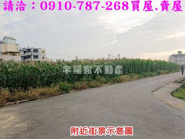 台南農地-11