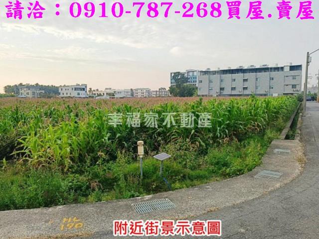 台南農地-14