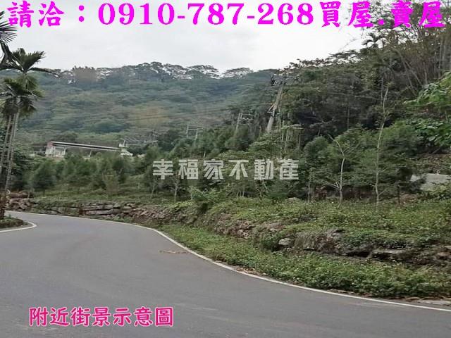嘉義番路農地-10