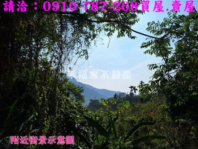 嘉義番路農地-12