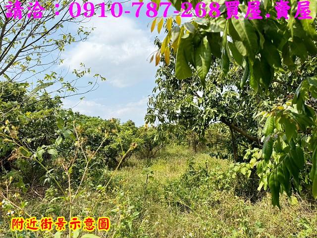 山上農地-9