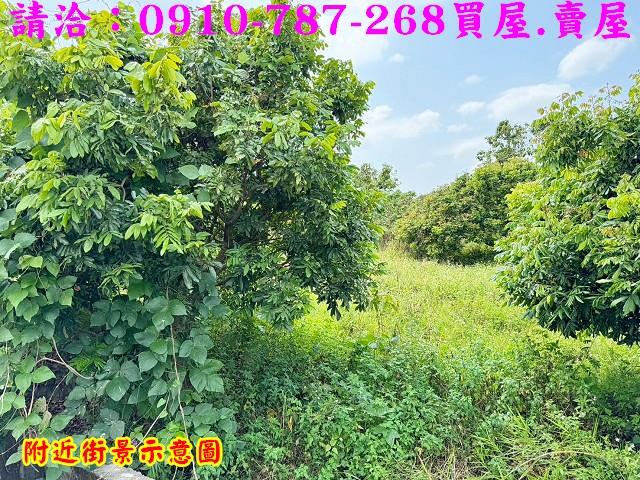 山上農地-12