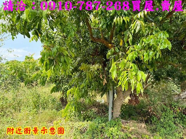 山上農地-7