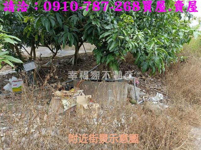 台南農地-10
