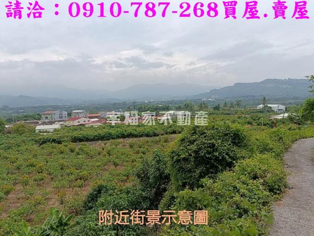 台南農地-14