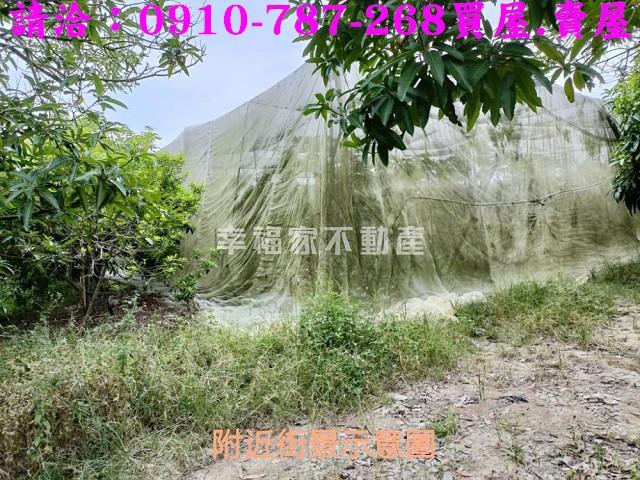 台南農地-6