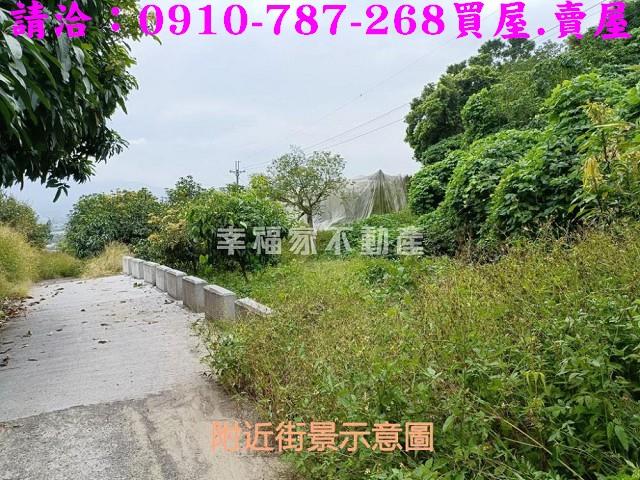 台南農地-8