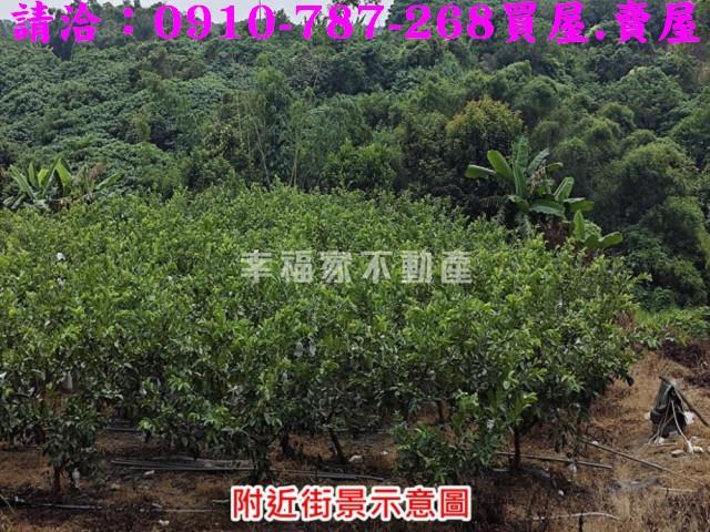 台南玉井農地-3