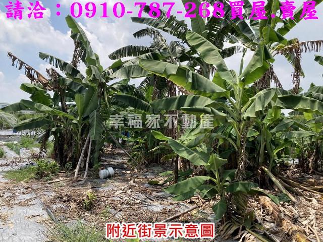 台南農地-10