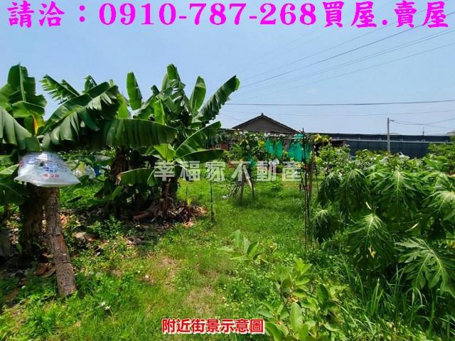 新營農地-14