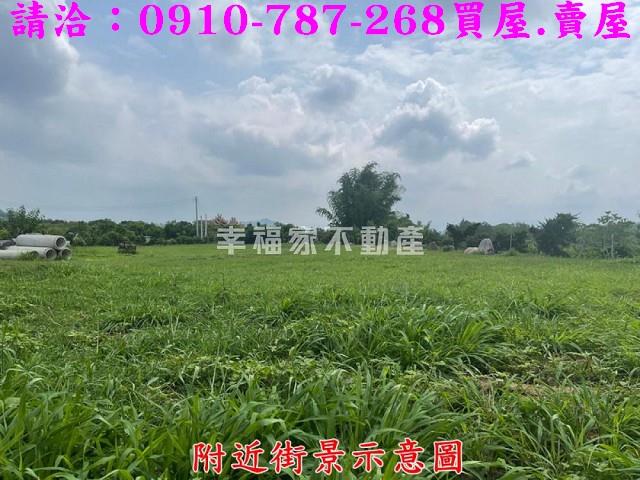 台南大內農地-5