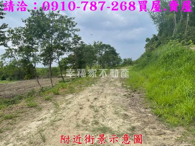 台南大內農地-8
