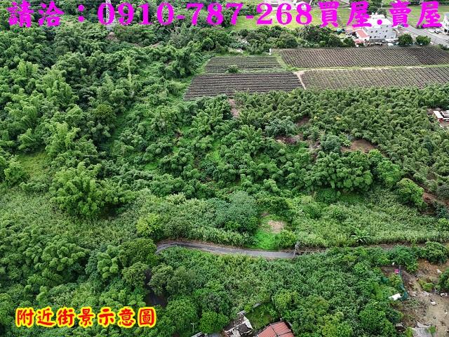 台南關廟農地-4