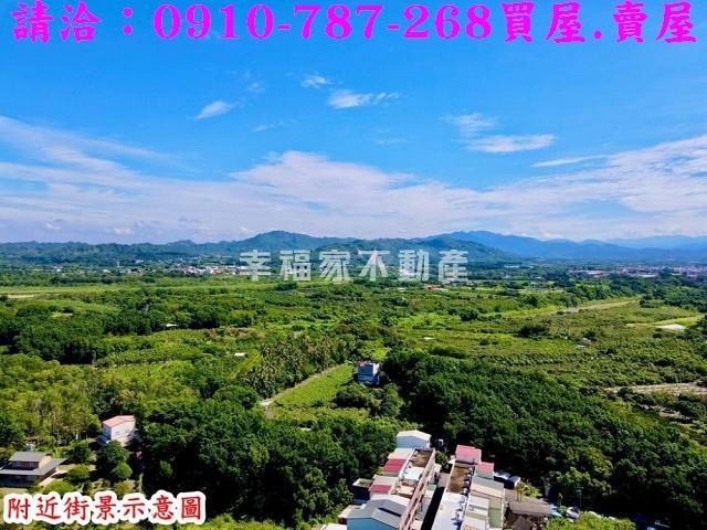 玉井農地-9