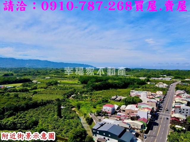 玉井農地-11